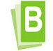 Buzz Constructions Pty Ltd