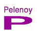 Pelenoy Constructions Pty Ltd - Darwin Builders