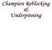 Champion Reblocking  Underpinning - Darwin Builders