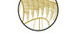 Argus Building Products - thumb 0