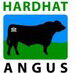 Hardhat Angus - Darwin Builders