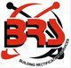 BRS Gold Coast Window Replacement  Handrails - Darwin Builders